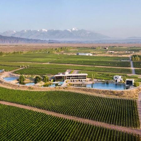 Casa De Uco Vineyards And Wine Resort Los Árboles 외부 사진