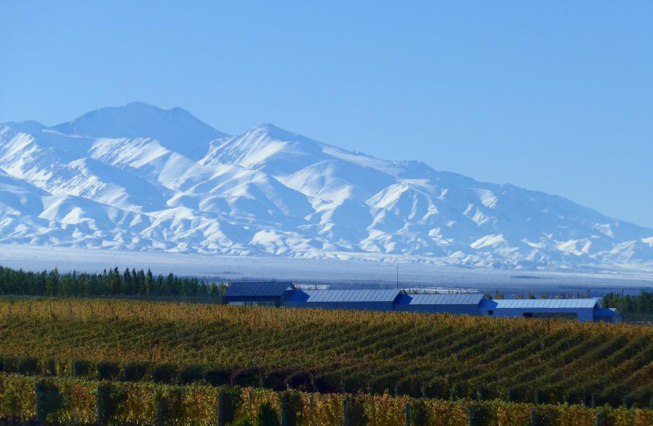 Casa De Uco Vineyards And Wine Resort Los Árboles 외부 사진