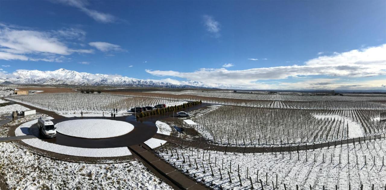 Casa De Uco Vineyards And Wine Resort Los Árboles 외부 사진